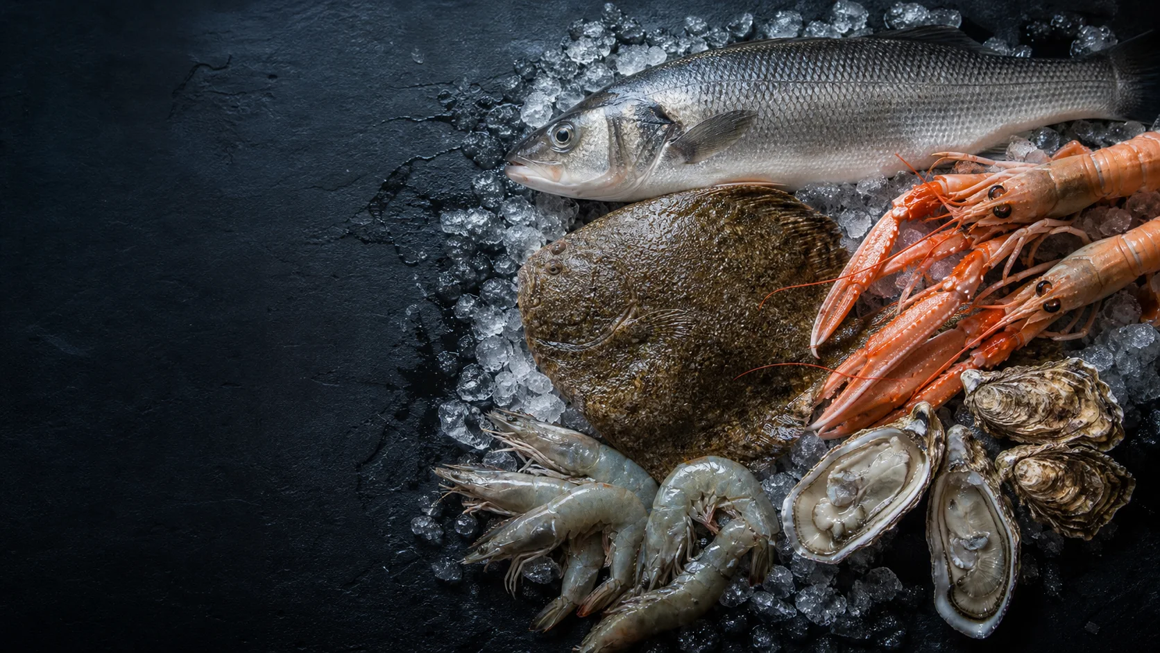 Sélection professionnelle de poissons et produits de la mer sur glace